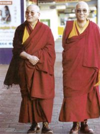 The two Rinpoches, Lhagon Tulku and Thupten Tulku: click for large version